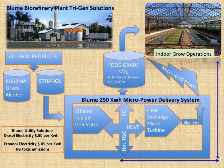 Turning Waste Into Fuel & Other Valuable Products