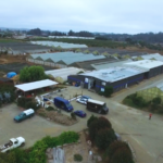 Whiskey Hill Farms